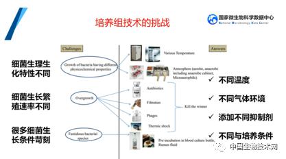 培養組通幽微世界，助力微生物資源大作為——記國家微生物科學數據中心網絡精品課網絡技術開發