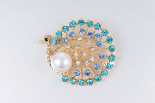 15元的胸針和發(fā)夾 珠寶首飾靜物類攝影 練習(xí)圖 無修