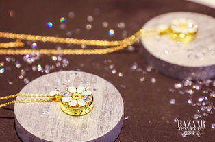 吉克雋逸佩戴 totwoo智愛天使吊墜 獻唱芭莎珠寶 未來首飾奇幻夜